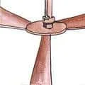 Fan (846) illustration
