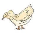Duck Mating (848) illustration