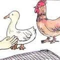 Steal Chicken And Duck (860) illustration