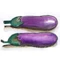 Eggplant (873) illustration