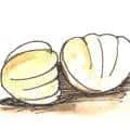 Oyster (874) illustration