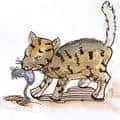 Cat Catch Mouse (876) illustration