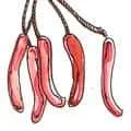 Chinese Sausage (890) illustration