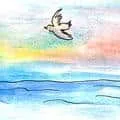 Seabirds (898) illustration