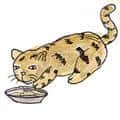 Cat Eating (905) illustration