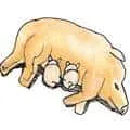 Piglets Sucking Milk (922) illustration