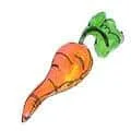 Carrot (924) illustration
