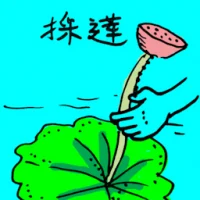 Lotus Flower,Lotus Picking (0009) illustration