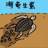 海龟生蛋 (0035) illustration