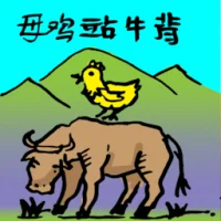 Hen Sitting On Cow (0043) illustration