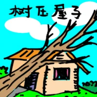 Trees Fell On Roof (0058) illustration