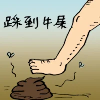 Stepped On Cow Dung (0150) illustration