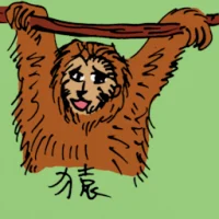 Ape (0520) illustration