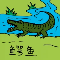 Crocodile (0525) illustration