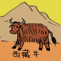 Tibetan Cow (0534) illustration