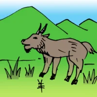Goat (0542) illustration