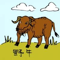 Wild Ox (0545) illustration