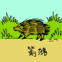 Porcupine (0547) illustration