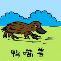 鸭嘴兽 (0554) illustration