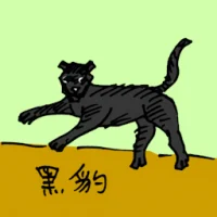 黑豹 (0555) illustration