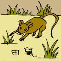 田鼠 (0563) illustration