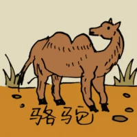 Camel (0564) illustration