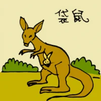 Kangaroo (0565) illustration