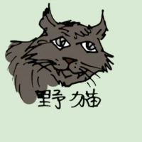 Wild Cat (0566) illustration