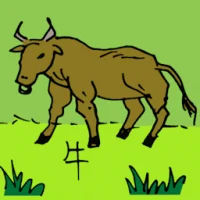 Ox (0568) illustration