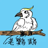 Old Parrot (0577) illustration