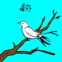 Whistlers Bird (0580) illustration