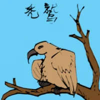 Vulture (0581) illustration