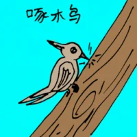 Woodpecker (0582) illustration