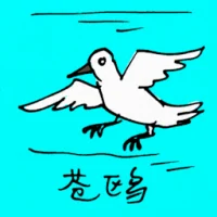 Gull (0583) illustration