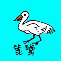 White Heron (0584) illustration