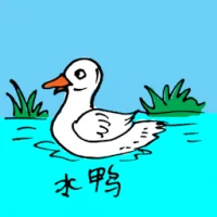 River Duck (0588) illustration