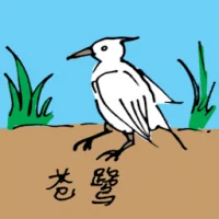 Common Egret (0590) illustration