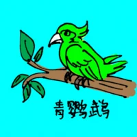青鹦鹉 (0591) illustration