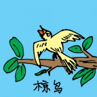 Starling (0592) illustration