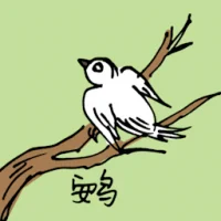 Quail (0594) illustration