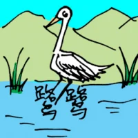 Grey Heron (0596) illustration