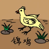 Golden Pheasant (0598) illustration