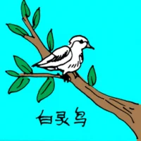 Lark (0601) illustration