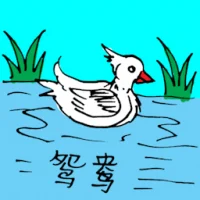 鸳鸯 (0602) illustration