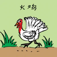 Turkey (0603) illustration