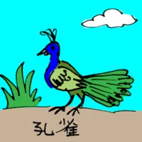Peacock (0604) illustration