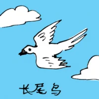 Long Tail Bird (0605) illustration