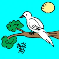 Oriole (0607) illustration