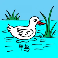 House Duck (0608) illustration