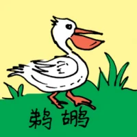 鹈鹕 (0612) illustration